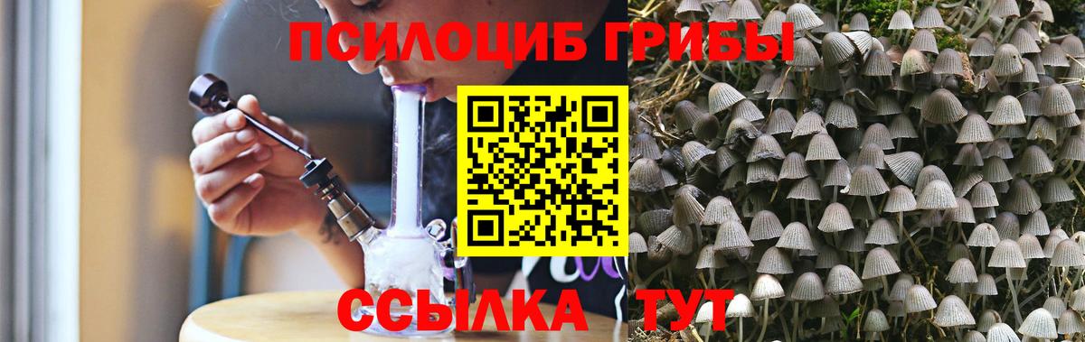 Галлюциногенные грибы Psilocybe  Вход с VPN  Карасук 